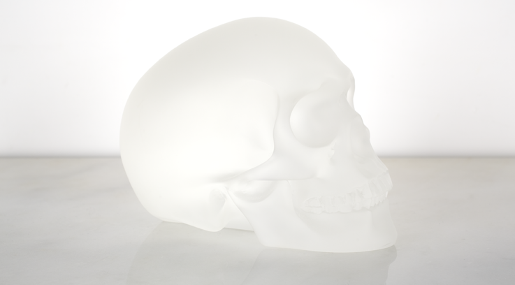 Crystal Skull 1-12, 2010 (detail).
